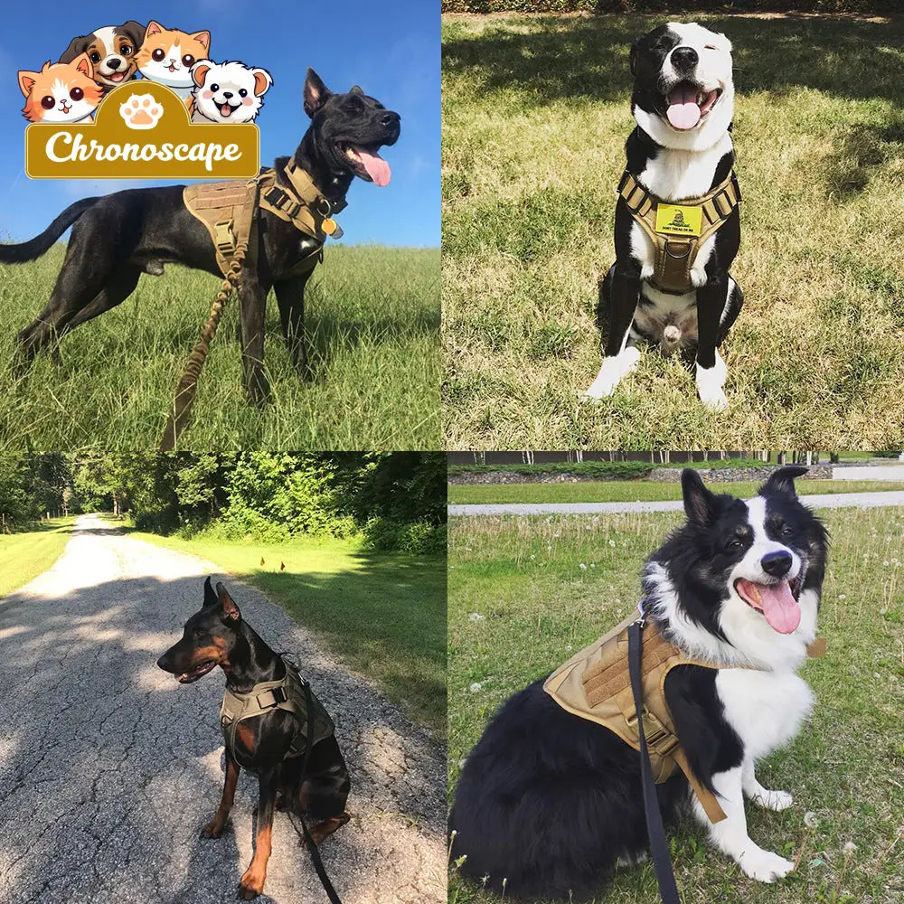 Fast Shipping Military Dog Tactical Harness and Leash Set Leashes Collars & Petwear