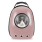 Pet Hardshell Traveling Backpack Yellow Pandora