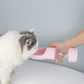 Portable Pet Food & Water Bottle Teal Winterberry
