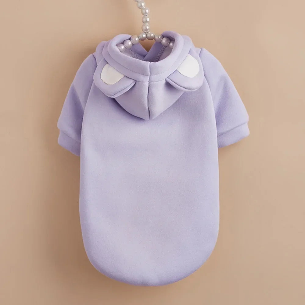 Winter Hoodie Sweater for Hairless Cats & Kittens Chronoscape