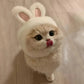 Bunny Ears Knit Pet Hat for Cats & Small Dogs Chronoscape