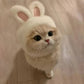 Bunny Ears Knit Pet Hat for Cats & Small Dogs Chronoscape