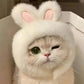 Bunny Ears Knit Pet Hat for Cats & Small Dogs Chronoscape