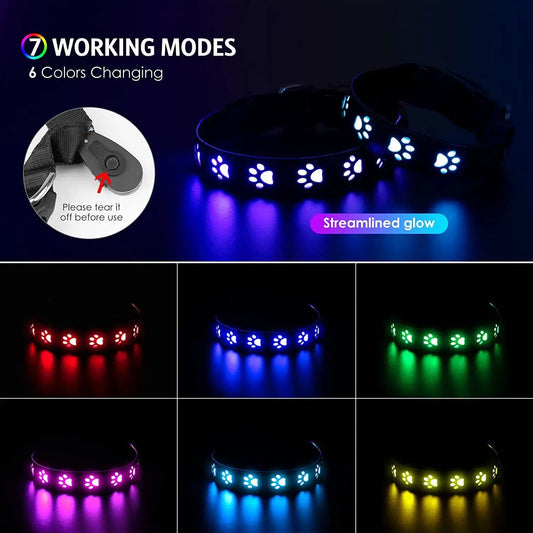 Rechargeable LED Dog Collar – USB-C Light-Up Pet Necklace Chronoscape