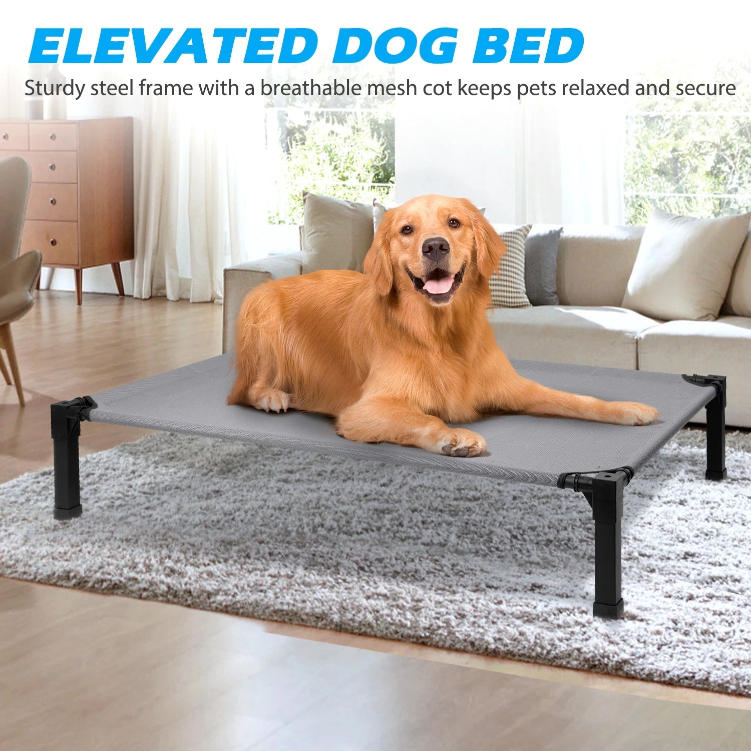 Elevated Cooling Dog Bed with Breathable Mesh Chronoscape