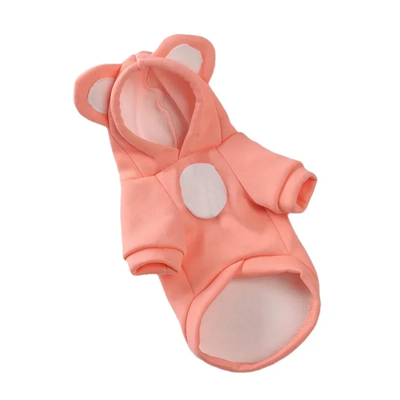 Winter Hoodie Sweater for Hairless Cats & Kittens Chronoscape