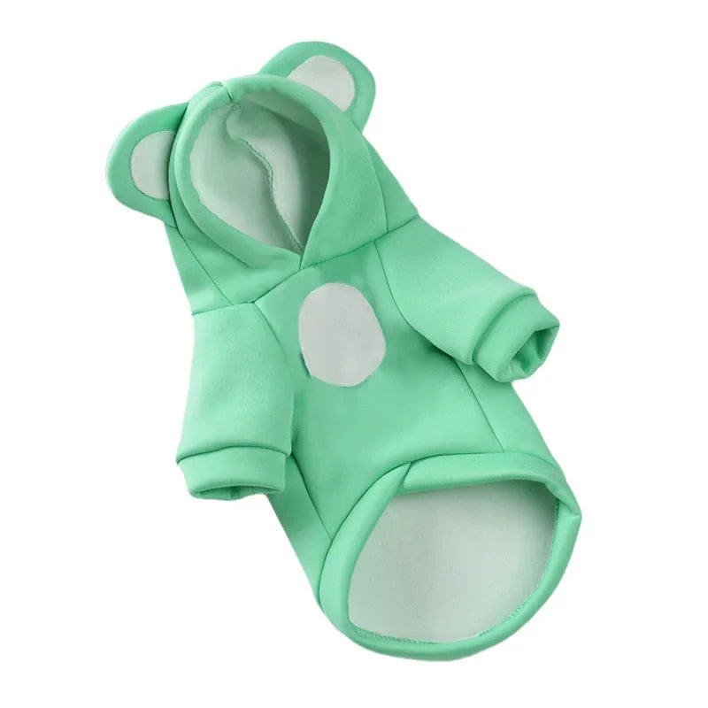 Winter Hoodie Sweater for Hairless Cats & Kittens Chronoscape