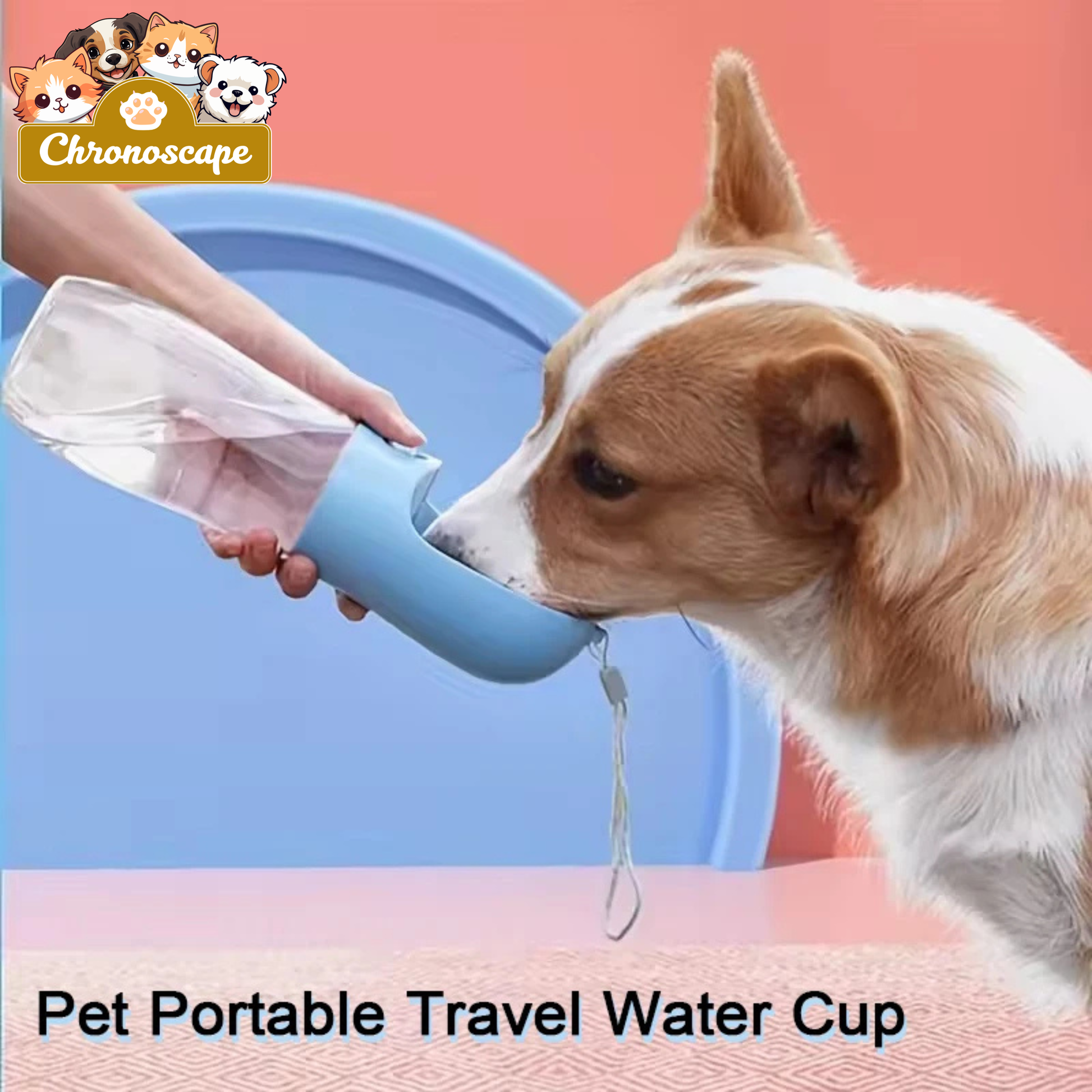 Portable Pet Water Bottle with Food Dispenser Chronoscape
