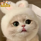 Bunny Ears Knit Pet Hat for Cats & Small Dogs Chronoscape