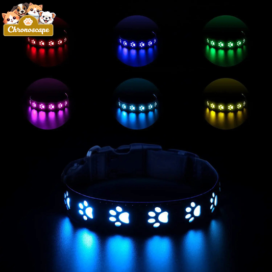 Rechargeable LED Dog Collar – USB-C Light-Up Pet Necklace Chronoscape