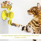 Cats Whirling LED Balls Pets