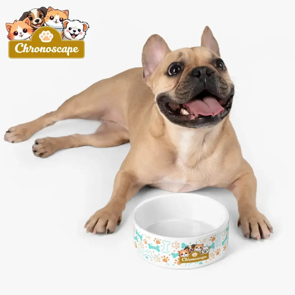 Chronoescape Pet Bowl — Cute Paw & Bone Dog Food Dish 16oz Pets