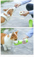 Portable Pet Food & Water Bottle Teal Winterberry