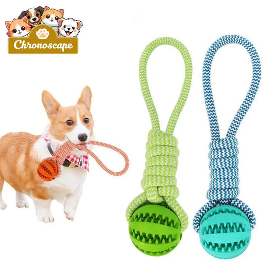 Durable Rubber Ball Chew Toy with Cotton Rope Toys