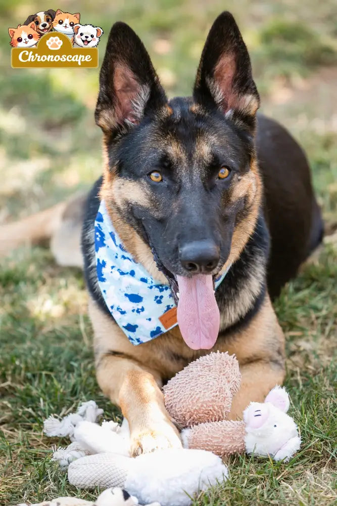 Fast shipping 6-Pack Adorable Dog Plush Toys Set Toys