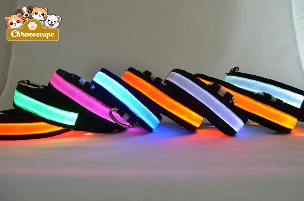 LED Light Up Dog Collar Leashes Collars & Petwear