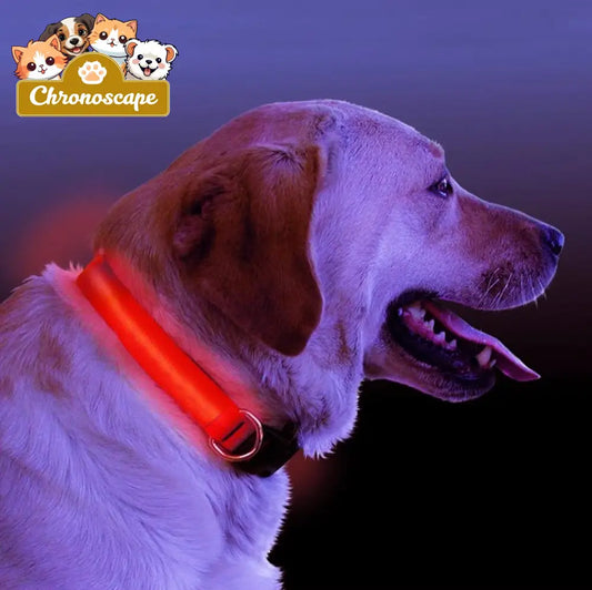 LED Light Up Dog Collar Leashes Collars & Petwear