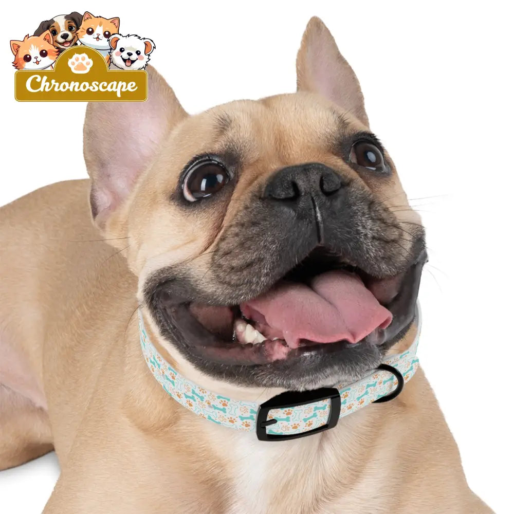 Pet Collar — Cute Paw & Bone Pattern Adjustable Dog Collar (Blue & Tan) Pets