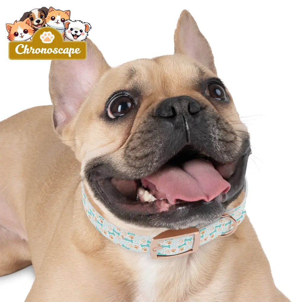 Pet Collar — Cute Paw & Bone Pattern Adjustable Dog Collar (Blue & Tan) Pets