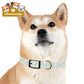 Pet Collar — Cute Paw & Bone Pattern Adjustable Dog Collar (Blue & Tan) Pets