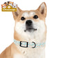 Pet Collar — Cute Paw & Bone Pattern Adjustable Dog Collar (Blue & Tan) Pets