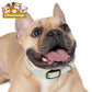 Pet Collar — Cute Paw & Bone Pattern Adjustable Dog Collar (Blue & Tan) Pets