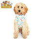 Pet Hoodie - Cute Bones & Paws Pattern Dog Hoodie with Grey Paw-Print Hood Pets