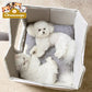 Removable Roof Plush Pet House Pets