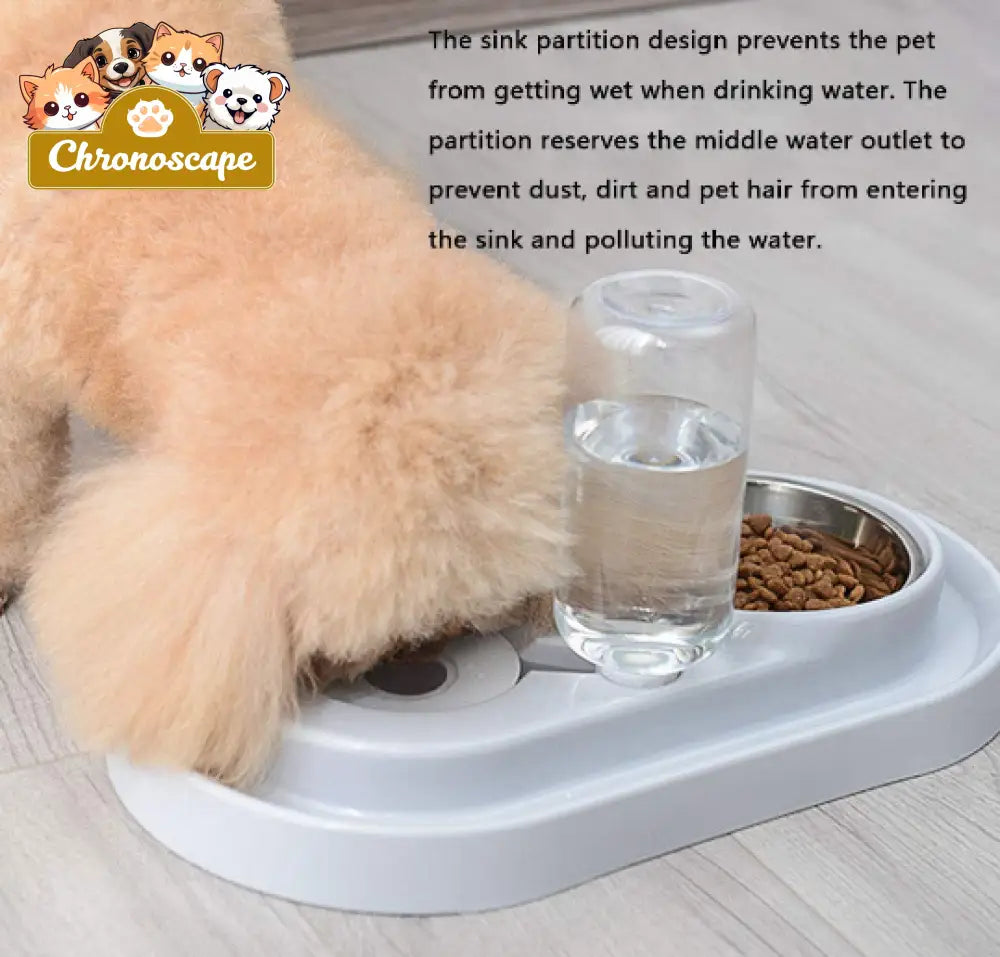 Stainless Steel Pet Bowls with Automatic Water Bottle Pets