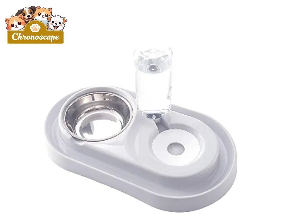 Stainless Steel Pet Bowls with Automatic Water Bottle Pets