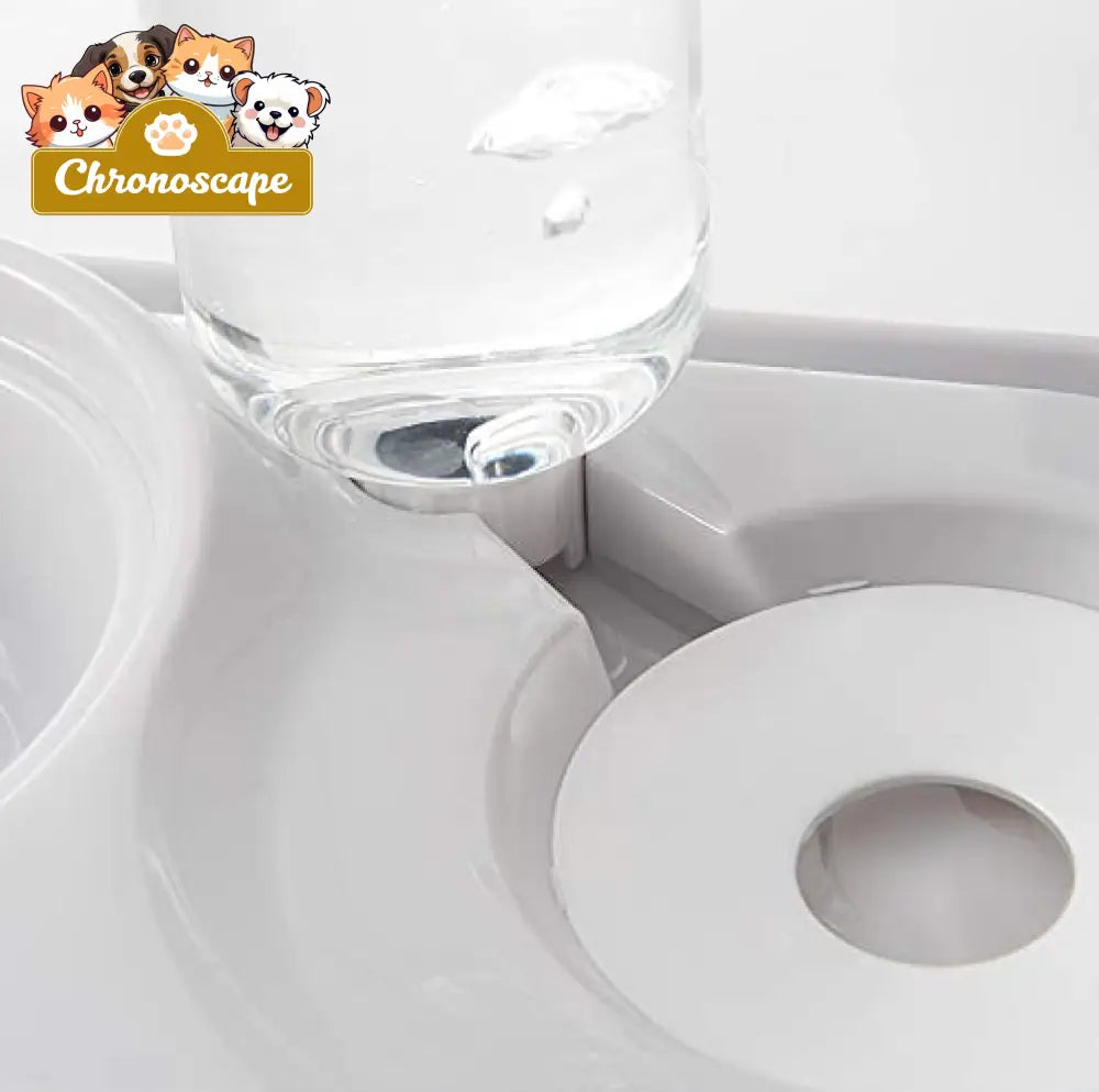 Stainless Steel Pet Bowls with Automatic Water Bottle Pets