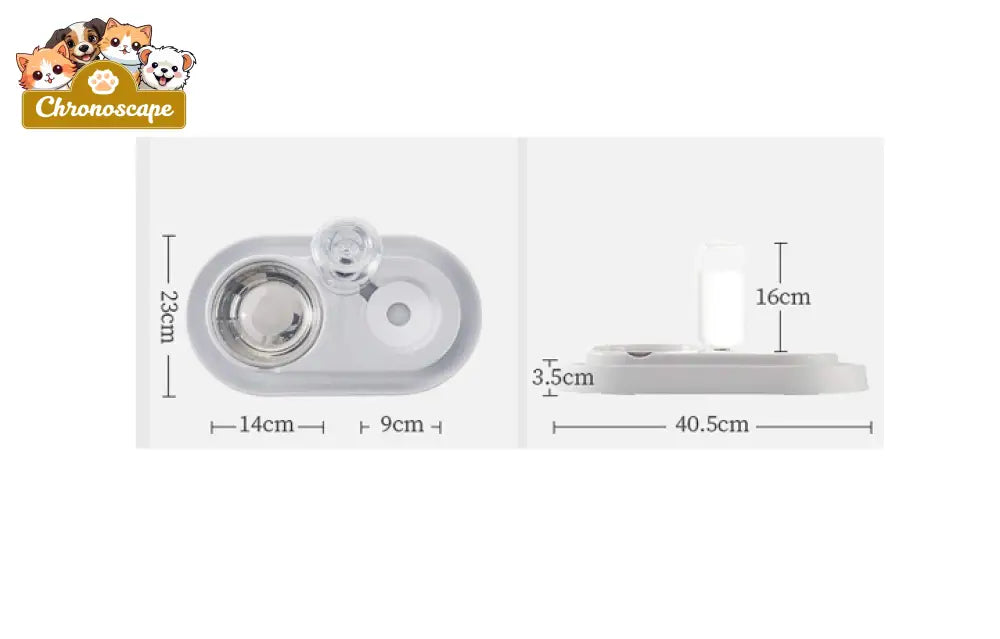 Stainless Steel Pet Bowls with Automatic Water Bottle Pets