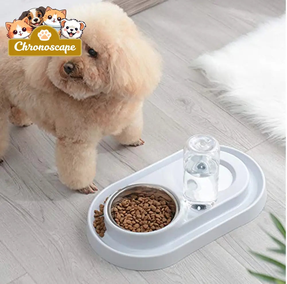 Stainless Steel Pet Bowls with Automatic Water Bottle Pets