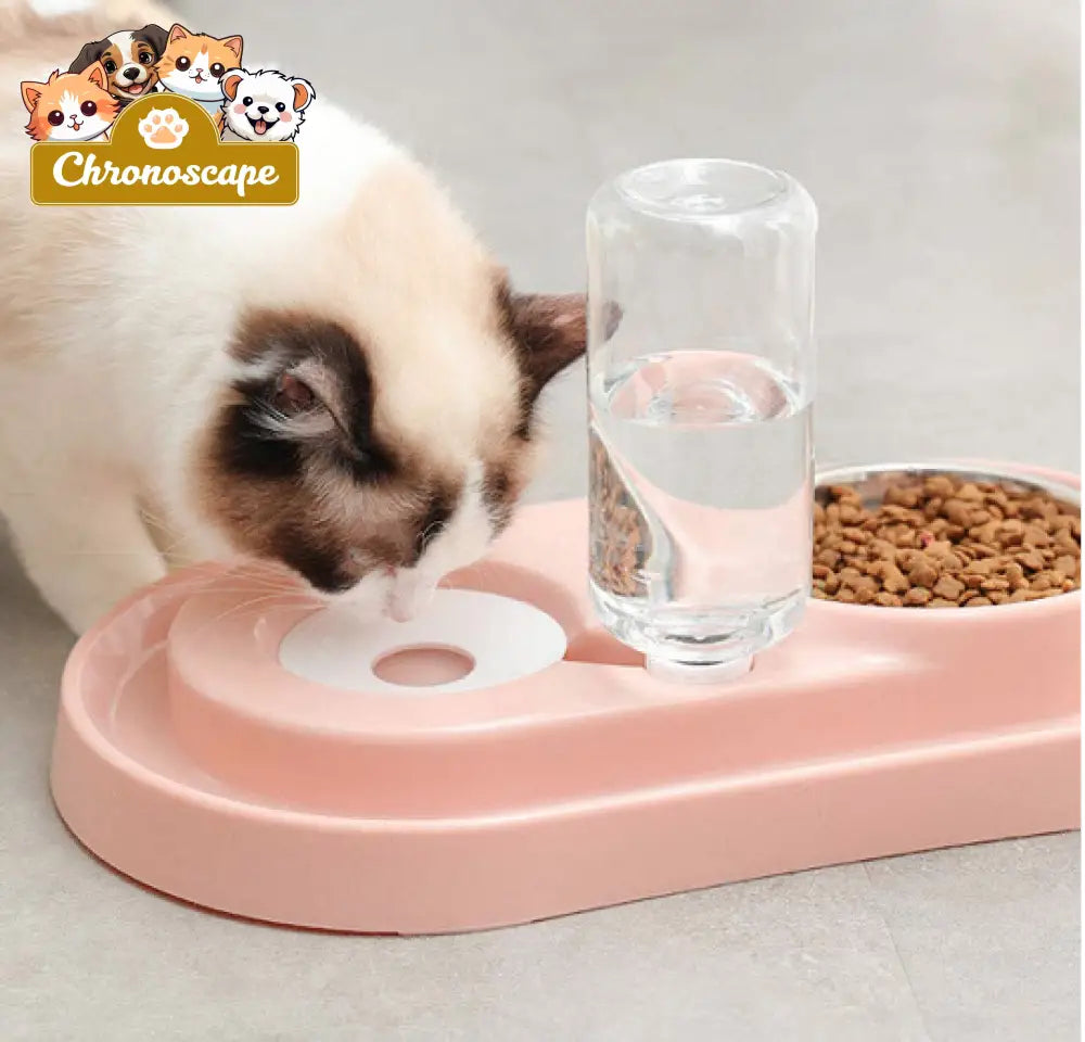 Stainless Steel Pet Bowls with Automatic Water Bottle Pets