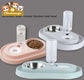 Stainless Steel Pet Bowls with Automatic Water Bottle Pets