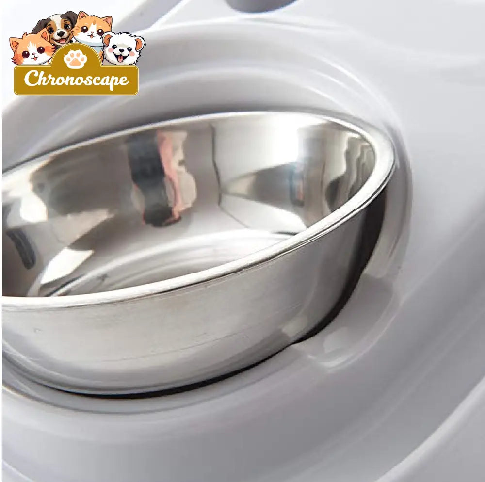 Stainless Steel Pet Bowls with Automatic Water Bottle Pets