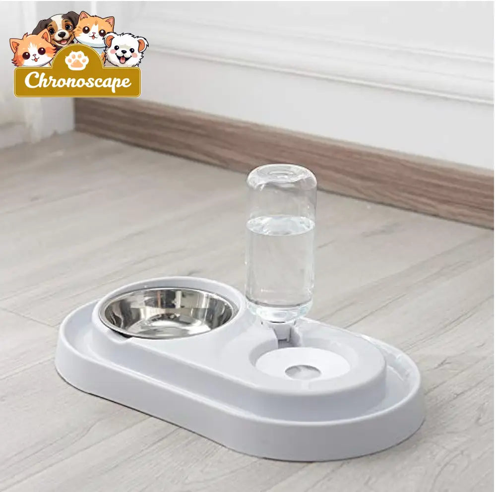 Stainless Steel Pet Bowls with Automatic Water Bottle Pets