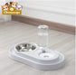 Stainless Steel Pet Bowls with Automatic Water Bottle Pets