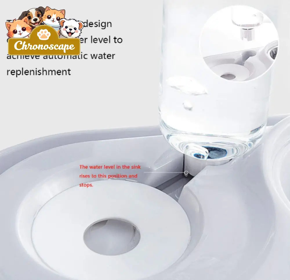 Stainless Steel Pet Bowls with Automatic Water Bottle Pets