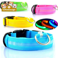 USB RECHARGEABLE LED PET DOG COLLAR Leashes Collars & Petwear